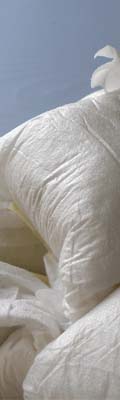 Dermatitis del bolquer