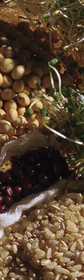 50 Píndoles de nutrició