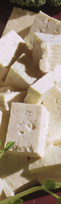 50 Píndoles de nutrició