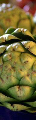 50 Píldoras de nutrición