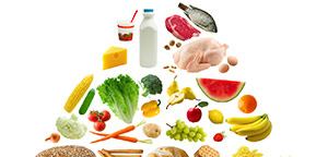 D'ón provenen els aliments?