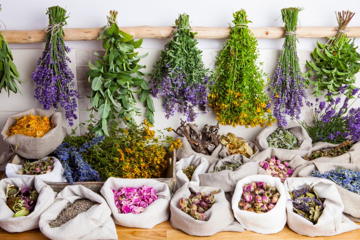 ¿Qué es la fitoterapia?  Farmaceuticonline