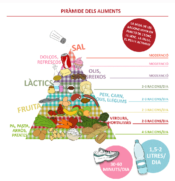 Piràmide dels aliments