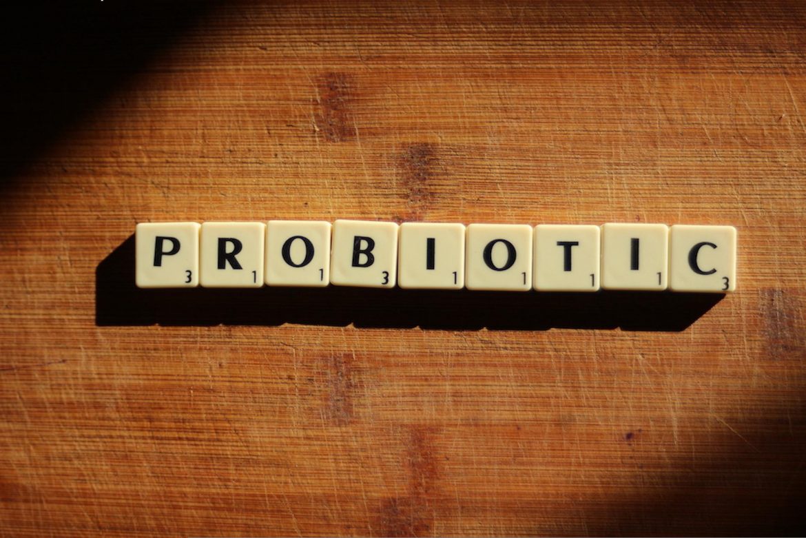 probióticos